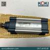 121360065CN xy lanh metalwork