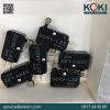 D2RV-L22 Omron | Công Tắc Vi Mô