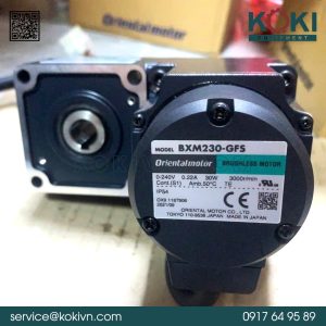 BXM230-GFS ORIENTAL MOTOR | Động Cơ