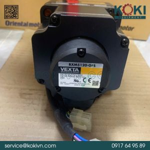 BXM5120-GFS ORIENTAL MOTOR | Động Cơ